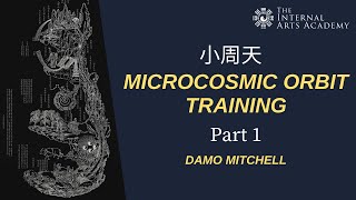 Microcosmic Orbit  Part 114  Intro [upl. by Oenire584]