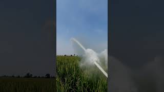 irrigazione pioggia farming [upl. by Aurilia741]