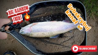 Big Rainbow Trout [upl. by Caruso]