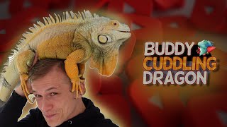 How To Train Your Dragon In Real life  Cuddling iguana [upl. by Sianna]