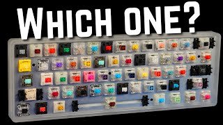 How to Choose the Perfect Switch For YOU [upl. by Annayat]