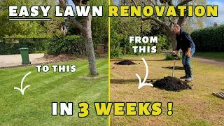 Complete lawn RENOVATION with AMAZING results in 3 weeks [upl. by Fortunna]