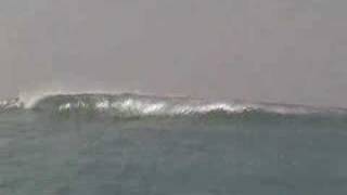 Galapagos Surf Video [upl. by Eelahs845]