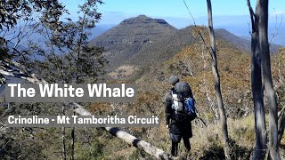 The White Whale  3 Days on the Crinoline to Mt Tamboritha Circuit [upl. by Ecirahs]