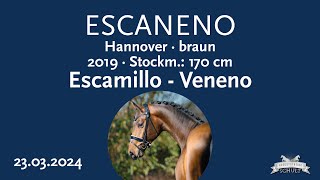 Escaneno Hengst v Escamillo  Veneno [upl. by Dis]