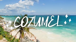 Top 5 things To Do in Cozumel Mexico [upl. by Mowbray]