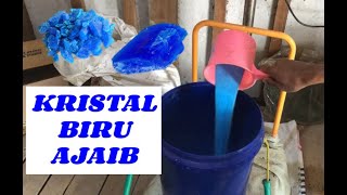 Proses Sterilisasi Air Kolam Bundar Menggunakan Larutan Cupric Sulphate CuSO4 [upl. by Eenalem]