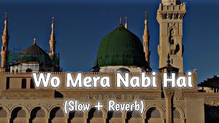 Wo Mera Nabi Hai Naat  Syed Hassanullah  Slow and Reverb Naat  Mind Relaxing Naat [upl. by Sedruol571]