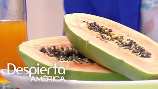 ¿El jugo de papaya es un remedio para las úlceras estomacales [upl. by Silda262]