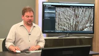 Importing and Organization  Lightroom Mastery [upl. by Bernstein]