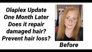 Olaplex Update  One Month Later Before And After [upl. by Nwahsuq471]