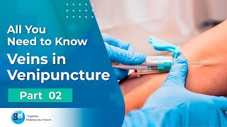 Anatomy of Phlebotomy I Venipuncture Procedure I Global Edulink [upl. by Merle]