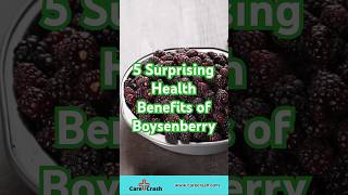 5 Surprising Health Benefits of Boysenberry  carecrash [upl. by Yhpos]