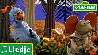 Onder hele hoge bomen  Kinderliedje  Sesamstraat [upl. by Eynahpets]