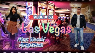 🪅 Explore Las Vegas Sparkling Night Attractions  Day 1 [upl. by Gen]