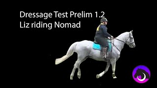 Dressage Test Prelim 12 [upl. by Annawal]