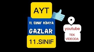 TEK VİDEODA GAZLAR 11SINIF AYT✅️ [upl. by Eseuqcaj]