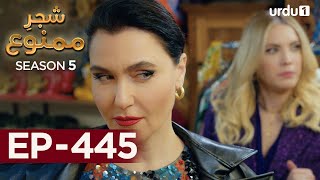 ShajareMamnu  Episode 445  Turkish Drama  Forbidden Fruit  Urdu Dubbing  24 August 2022 [upl. by Hgielek]