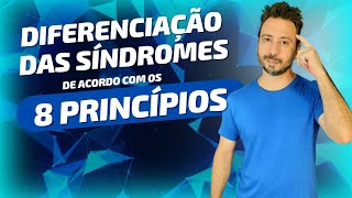 Diferenciação das Síndromes de Acordo com os 8 Princípios Ba Gang Bian Zheng [upl. by Aela]