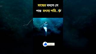 মৎস্য পরীটিকে লোকটি মেরে ফেলে🧚 movie explained in bangla  movie review bangla movie shorts [upl. by Inirt]