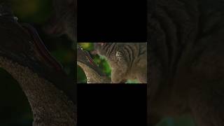 Lemurs get highfunfacts stonerreacts drugeducation [upl. by Nesrac317]