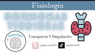 Fisiología Endocrina  Hormonas Tiroideas Transporte Y Regulación [upl. by Eniarda368]