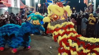 ACROBATIC LION DANCE 2024 BARONGSAI HUT KONGCO HIAN THIAN SIANG TEE WELAHAN JEPARA 2024 [upl. by Ynes36]