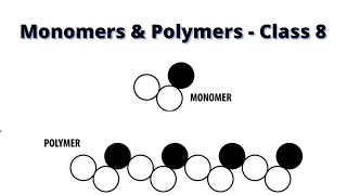 Monomers Polymers class 8 I Synthetics Fibers amp Plastic Science [upl. by Ark]