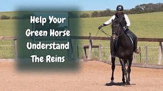 How To Use Your Reins With A Green Horse [upl. by Brenna]