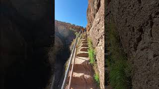 Amazing Cave Hike in Pinnacles National Park nationalparksusa [upl. by Kowal530]