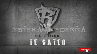 87 Te gateo  Reykon Ft Pipe Calderon extended version Esteban Becerra Edit [upl. by Nohsid]