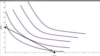 04 Optimal Consumption Point [upl. by Minsk]