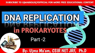 DNA REPLICATION  one shot DNA replication in pk  molecular biology  CSIR NET LIFE SCIENCE [upl. by Atnuahs505]