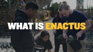 What is Enactus [upl. by Sanderson611]