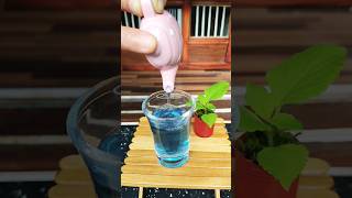 Butterfly pea tea🍵 [upl. by Modeste]