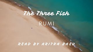 The Three Fish by Rumi  English Poetry Reading Aritra Basu [upl. by Aruon506]