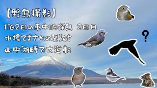 【野鳥撮影】1泊2日の車中泊探鳥 2日目 水場でまさかの撃沈も山中湖畔で大逆転 [upl. by Oirotciv]