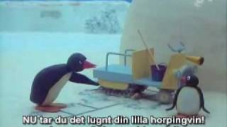 Pingu amp Rullstols Igge [upl. by Peursem]