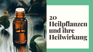 20 Heilpflanzen und ihre Heilwirkung [upl. by Kamaria]