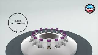 Abbott Determine HBsAg 20 procedure [upl. by Enyawad]