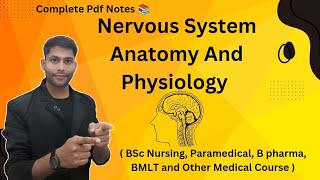 Nervous System in Hindi  Neurons  Central amp Peripheral Nervous System  Functions [upl. by Amitie]