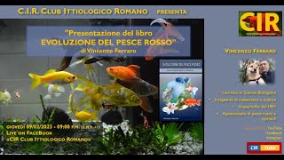 Presentazione del libro quotEvoluzione del pesce rossoquot di Vincenzo Ferraro [upl. by Yrallih]