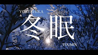 Yorushika  冬眠 Toumin  Lyrics  Translation [upl. by Nevaed757]