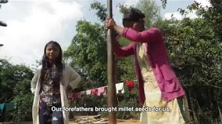 Saving the Millets West Garo hills Meghalaya [upl. by Nilre]