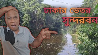 ঢাকার ভেতর সুন্দরবন  দোকাসি মাওয়া ঢাকা [upl. by Peoples226]