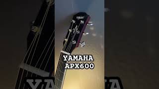 YAMAHA APX600を買いました！エントリーモデルのエレアコです。コスパが抜群です！ [upl. by Sirod]