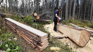 Cutting LONG amp THIN Boards Using a ChainsawWITHOUT a Mill [upl. by Doownil]