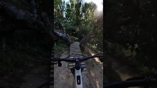 Loving the wooden ramps and bridges on this trail mtb mountainbike mountainbiking aribikes [upl. by Corso]