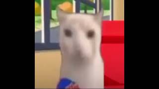 White cat eating chips shorts memes cats [upl. by Carlisle]