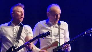 Status Quo  Little Lady Live Eisenstadt 2024 [upl. by Avalsorim]